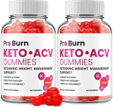 (2 Pack) Pro Burn Keto Plus ACV Gummies Pro Burn ACV Advanced Keto Formula Shark Plus Apple Cider Vinegar Keto Tank Gummies Dietary Supplement B12 Beet Root Juice (120 Gummies)