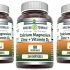 BeLive Turmeric Curcumin with Black Pepper & Ginger – Turmeric and Ginger Supplement for Immune Support, Healthy Skin, and Joint Health – Tropical Flavor | 2-Pack