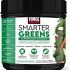 Greens First – Original – 60 Servings – Nutrient Rich-antioxidant Superfood, 49 Different Super Foods,phytonutrient & Antioxidant, Revitalize, Gluten Free, Vegan & Non-GMO – 19.90 Ounces