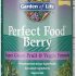 Core Nutritionals Greens Platinum Premium Superfood Greens and Reds Blend, Supports Digestion and Gut Health, 5 Billion CFU Probiotic,30 Servings (Berry)