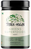 TERRA ORIGIN Greens Powder for Immune Defense and Digestive Support | with Spirulina, Probiotics, Organic Vegetables, Digestive Enzymes | Non-GMO | 30 Servings | Mint Flavor